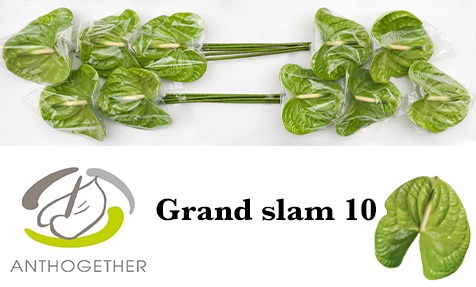 Grand Slam 10