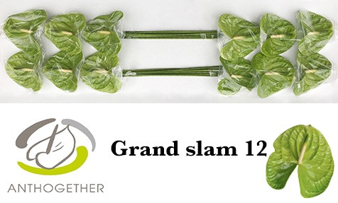 Grand Slam 12