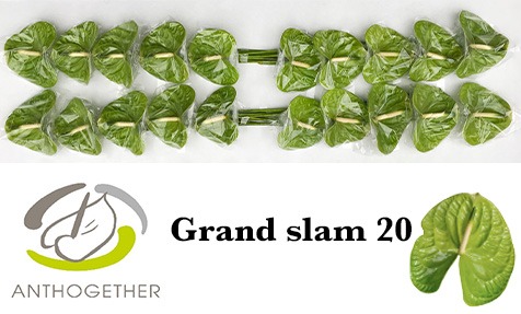 Grand Slam 20